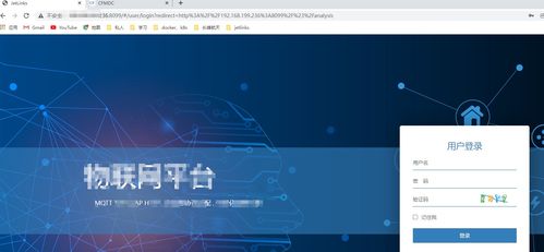 Nginx同时运行多个信息系统服务 高效运维实践指南